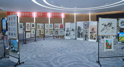 近500件殘疾人作品參展 成都市第四屆殘疾人文化藝術(shù)周開展